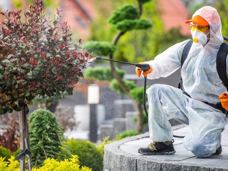 Seydişehir Haşere İlaçlama